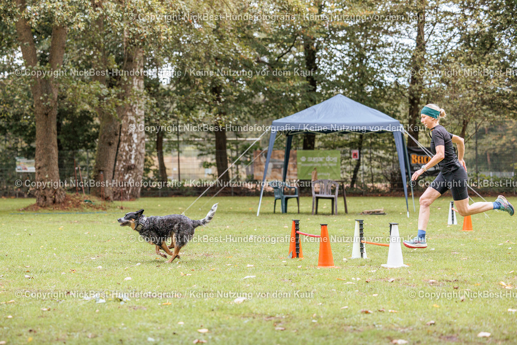 THS-HSV-Blumenthal-2026-Nickbest-Hundefotografie-4583 | Dein Hund! Dein Moment! Deine Erinnerungen! Hundefotografie in Bremen Blumenthal. Ich fange die besonderen Momente deines Vierbeiners ein – ob Indoor mit Blitzanlage oder in der freien Natur. Sicher dir dein Moment und dein Termin für eure Erinnerungen.
