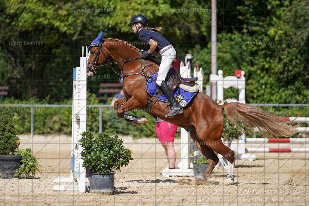 20240824-FAH08332 | Thierhaupten 2024, Bayerisches Landesponyturnier, Turnierbilder, Ponybilder, Turnierfotografen Bayern, Fotoagentur Herrmann