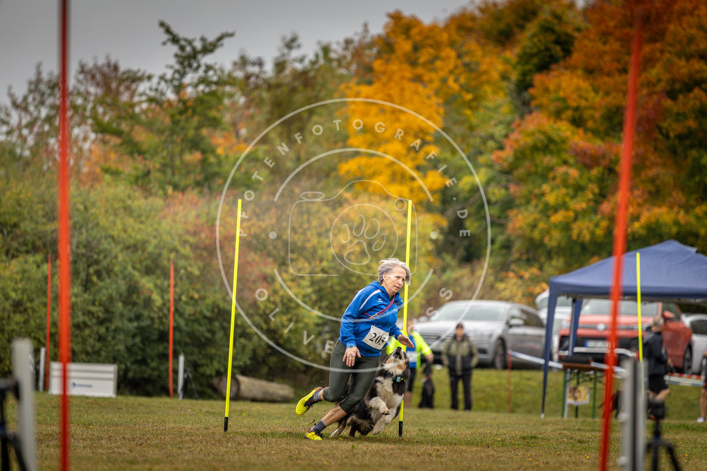 Pfotenfotografie_DV3A2089 | Hundefotografie, Tierfotograf, Pfotenfotografie, Fotoshooting Hund, Hunde Portrait, Hundesport, Hundeportraits, Heideshooting, Hunde, Sportfotograf, Hundefotograf, Turnierhundsport, THS,  - Realisiert mit Pictrs.com