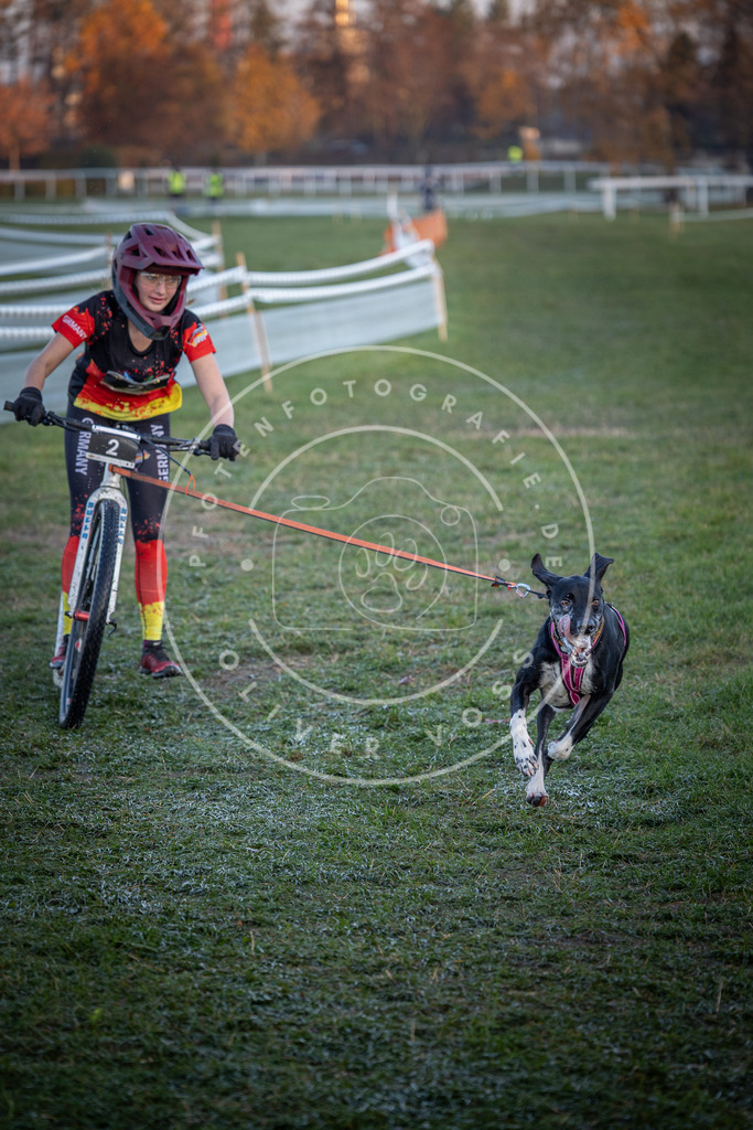 CaniXpix_0L8A0984 | Hundefotografie, Tierfotograf, Pfotenfotografie, Fotoshooting Hund, Hunde Portrait, Hundesport, Hundeportraits, Heideshooting, Hunde, Sportfotograf, Hundefotograf, Turnierhundsport, THS,  - Realisiert mit Pictrs.com