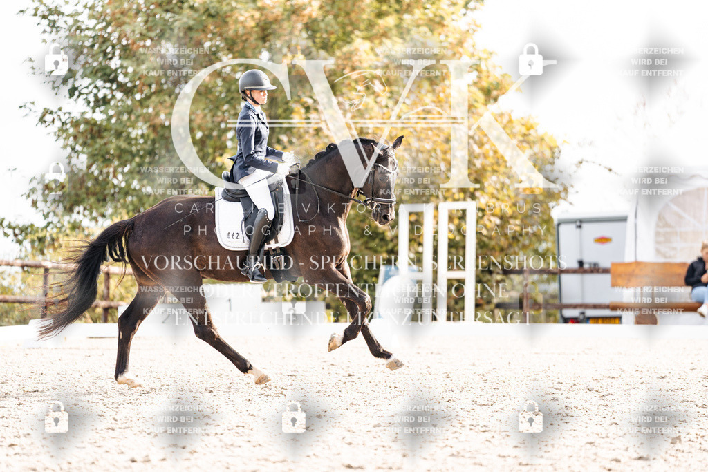 CK901061 | Turnierfotografie Pferdefotografie Trier Rheinland-Pfalz Pferdesport Reitsport Tierfotografie Sportfotografie Pferdevideo Pferdevideografie Equestrianvideography equestrianphotography  - Realisiert mit Pictrs.com
