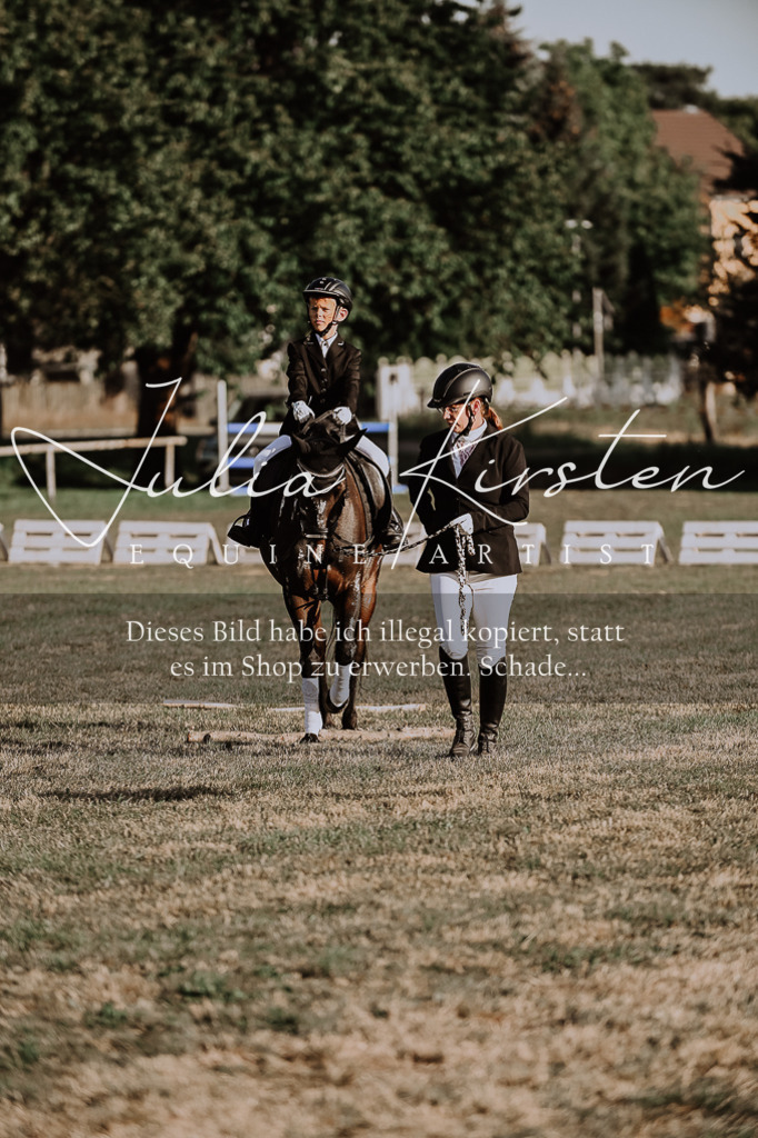 DSC_0217 | Pferde- und Turnierfotografie in Westsachsen. Pferdeportraits, Auftragszeichnungen und intuitive Kunst.