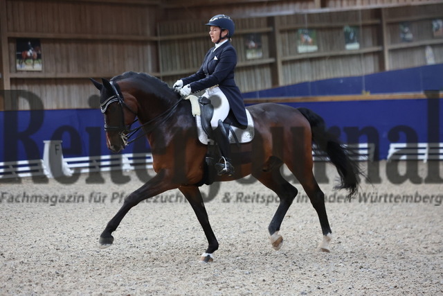 Zeutern_2025_Prfg.Nr.03_Dressurprfg.Kl.S_Intermediaire A_Alexandra Mumm-Gerweck_Gatsby G 4 (10) | Alle Fotos der Reiterjournal Fotografin Doris Matthaes im Reiterjournal Online-Fotoshop. - Realisiert mit Pictrs.com