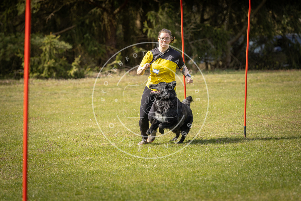 Pfotenfotografie_DV3A0076 | Hundefotografie, Tierfotograf, Pfotenfotografie, Fotoshooting Hund, Hunde Portrait, Hundesport, Hundeportraits, Heideshooting, Hunde, Sportfotograf, Hundefotograf, Turnierhundsport, THS,  - Realisiert mit Pictrs.com