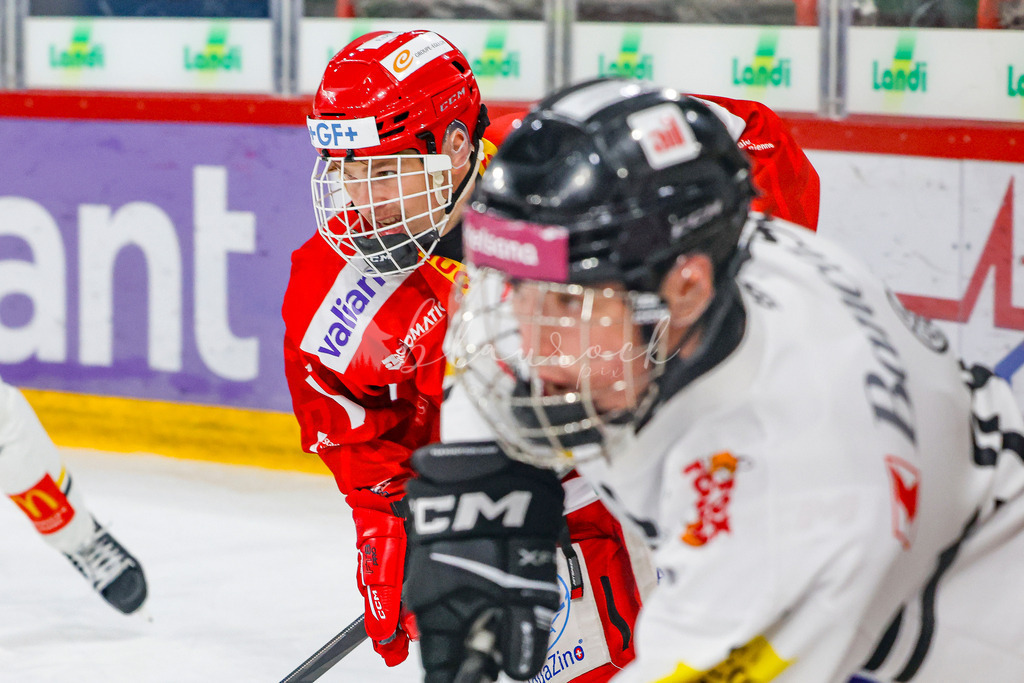 701A2924 | Sportbilder, Sportfotograf, Hochzeits- und Eventfotografin, Flugshows, Portraits und Tiershooting, Aviation, Downhill, Nationalleague, Swissleague, International