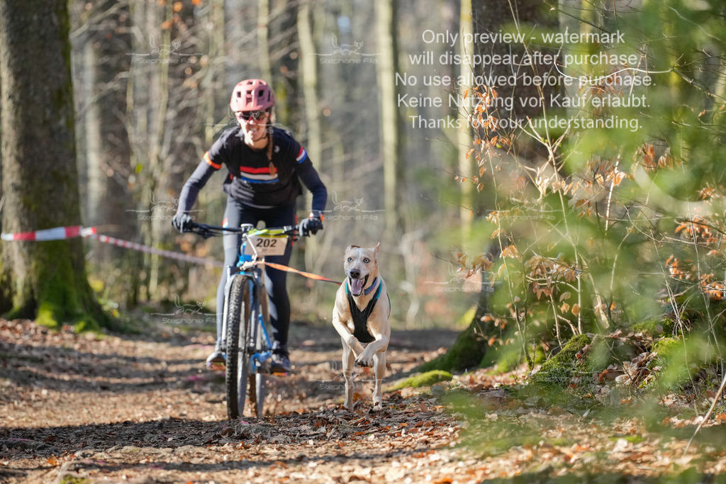 Bike_So-43 | stephaniefillaphotographie - Realisiert mit Pictrs.com