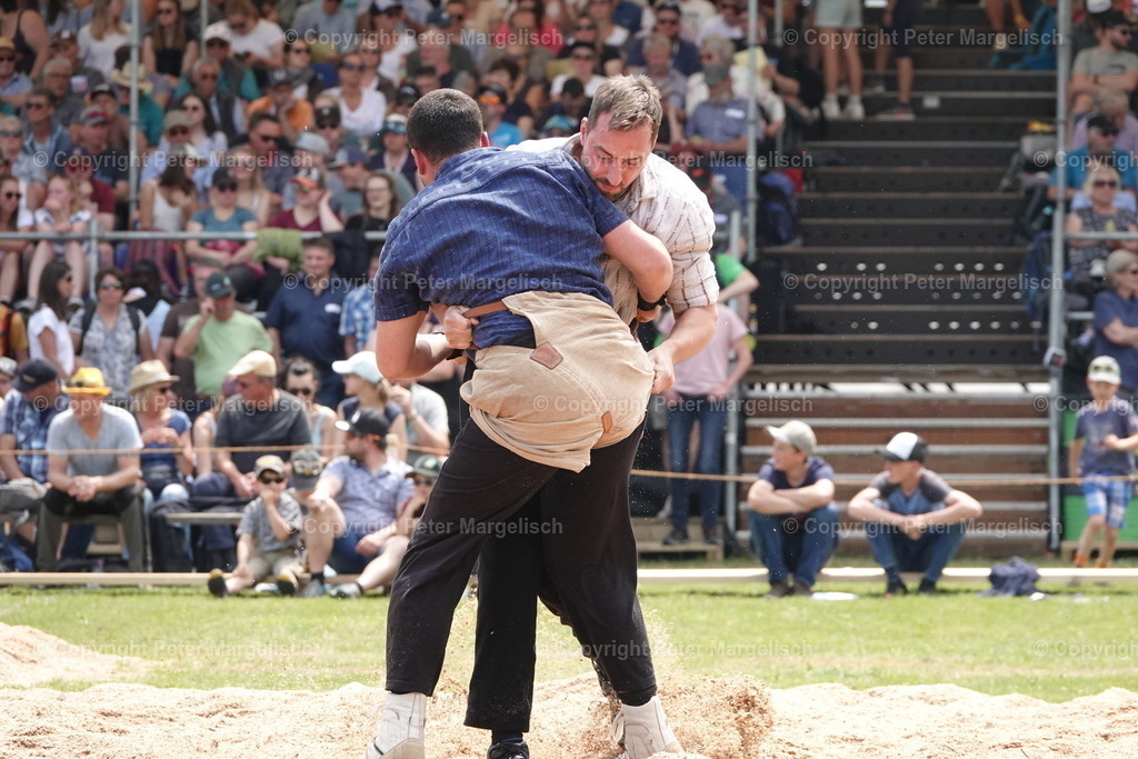 DSC04607 | Schwingen - Realisiert mit Pictrs.com