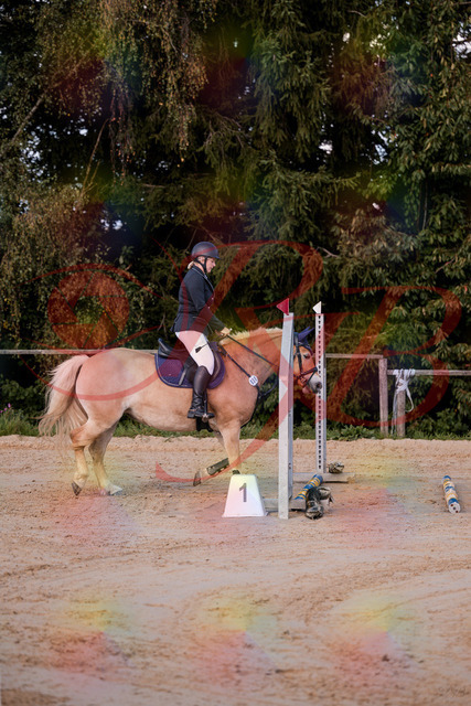 2026_10_03_Siefer-Hof_145225_Z81_31225199 | Professionelle Reitsport-, Turnier- und Eventfotografie von Robert Broda. Galerien mit ausgewählten und bearbeiteten Bildern direkt online ansehen und bestellen.