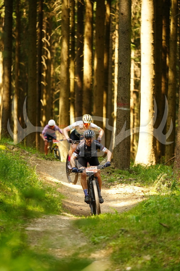 FC102731 | Fotogalerie der Treibjagd im Dunkelwald - Dein MTB Etappenrennen im Erzgebirge - Realisiert mit Pictrs.com