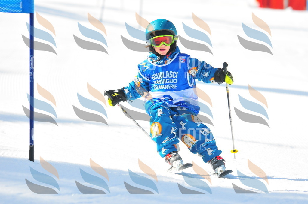 B9009 | holidayphoto