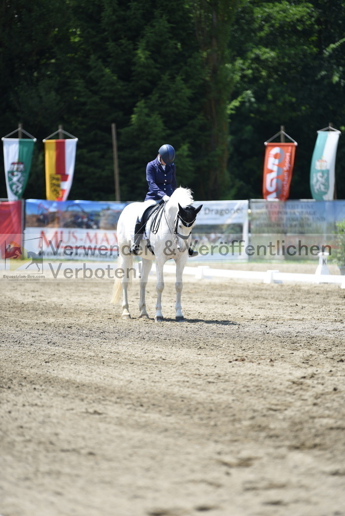 DSC_0338 | equestrian-live-com