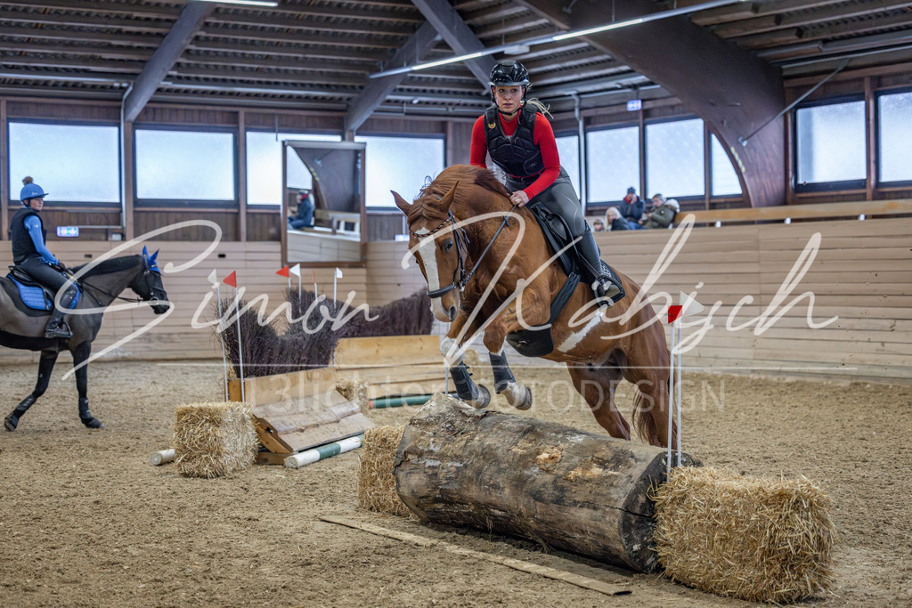 20260221-_3LI9059 | Tierfotografie Pferde, Hunde, Katzen, Haustiere.
Turnierfotografie Reitturniere, Reiten, Springreiten, Dressur in Hanau, dem Main-Kinzig-Kreis und dem Rhein-Main- Gebiet um Frankfurt