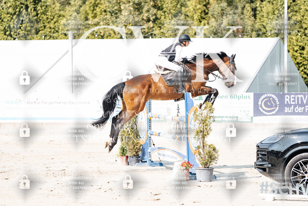 CK902193 | Turnierfotografie Pferdefotografie Trier Rheinland-Pfalz Pferdesport Reitsport Tierfotografie Sportfotografie Pferdevideo Pferdevideografie Equestrianvideography equestrianphotography  - Realisiert mit Pictrs.com