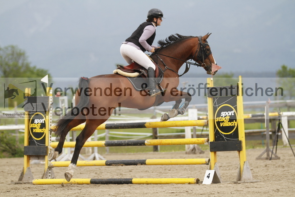 _MG_7581 | equestrian-live-com