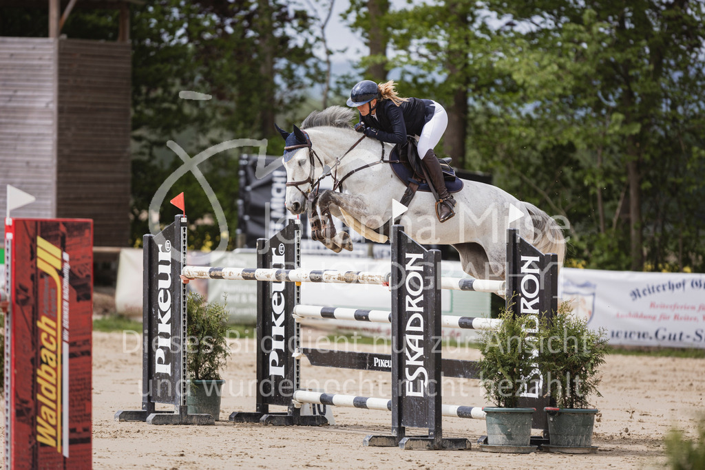 250504_SpengeW_M2-Spr-407 | Deine schönsten Turniermomente als professionelle Fotos! Entdecke hochwertige Pferdesport-Fotografie im Online-Shop. Jetzt Fotos finden & bestellen!