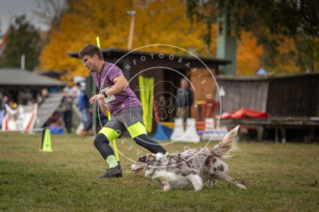 Pfotenfotografie_DV3A7925 | Hundefotografie, Tierfotograf, Pfotenfotografie, Fotoshooting Hund, Hunde Portrait, Hundesport, Hundeportraits, Heideshooting, Hunde, Sportfotograf, Hundefotograf, Turnierhundsport, THS,  - Realisiert mit Pictrs.com