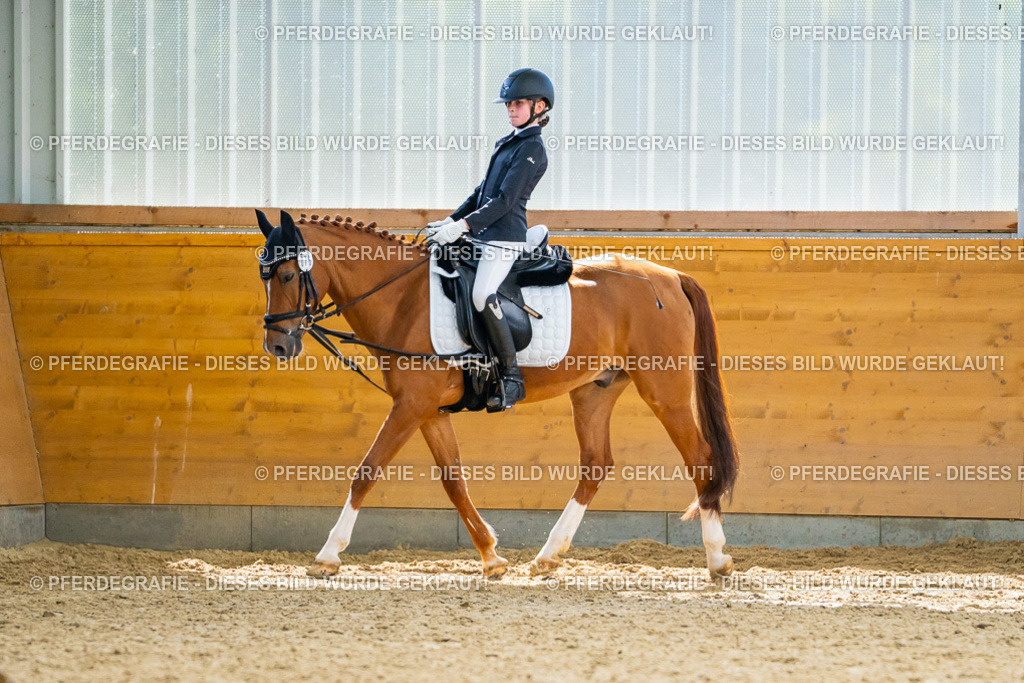 DSC01403 | Pferdegrafie