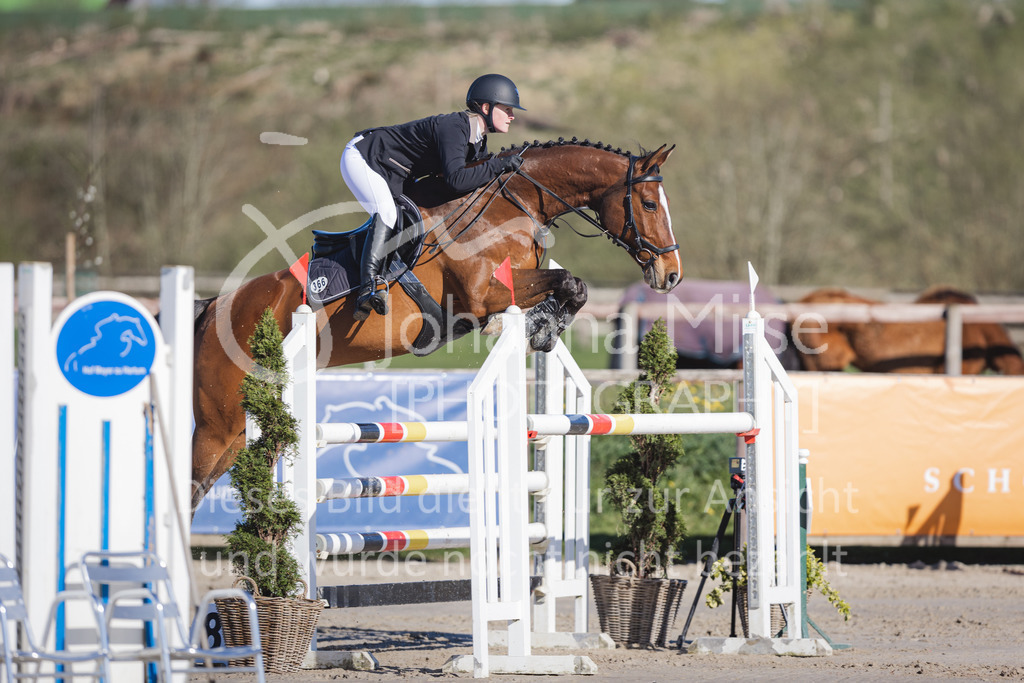 220416_5_M-Stil-524 | Frühlingsfest der Pferde
Herford
16.April 2022
Stilspringprüfung Kl.M* geschlossen