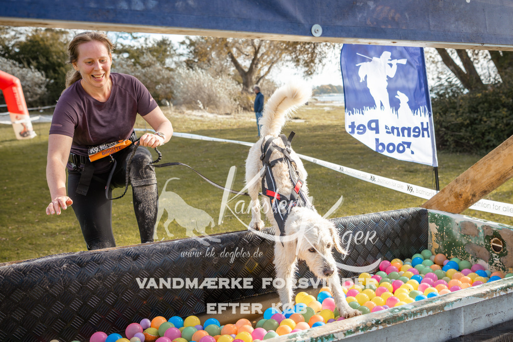 1424_ZZ94431-2 | kk-dogfotos