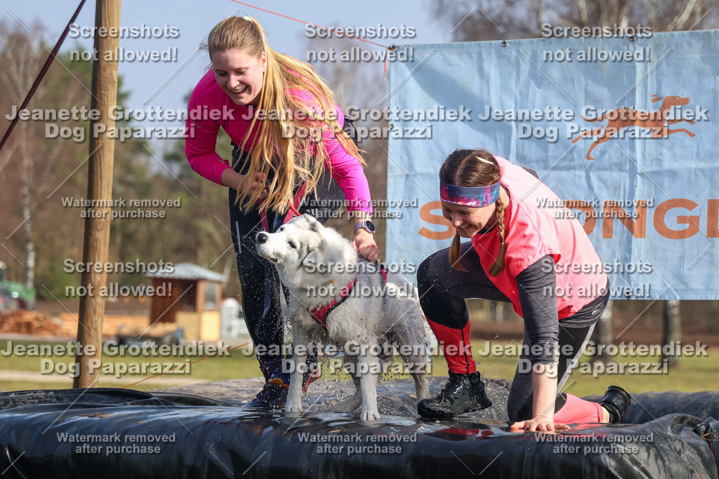 Dog Paparazzi - Strongdog North Mrz26-2350 | Dog Paparazzi Jeanette Grottendiek Fotografie & Videografie - Realisiert mit Pictrs.com