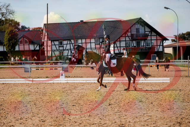 2026_10_03_Siefer-Hof_132848_Z63_90141227 | Professionelle Reitsport-, Turnier- und Eventfotografie von Robert Broda. Galerien mit ausgewählten und bearbeiteten Bildern direkt online ansehen und bestellen.