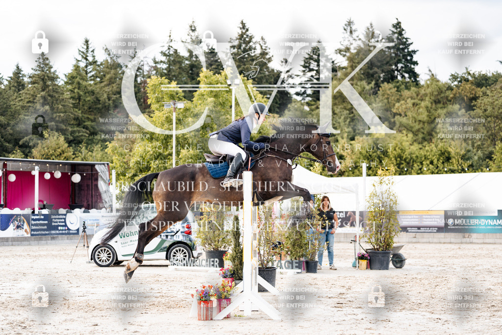 CK903803 | Turnierfotografie Pferdefotografie Trier Rheinland-Pfalz Pferdesport Reitsport Tierfotografie Sportfotografie Pferdevideo Pferdevideografie Equestrianvideography equestrianphotography  - Realisiert mit Pictrs.com