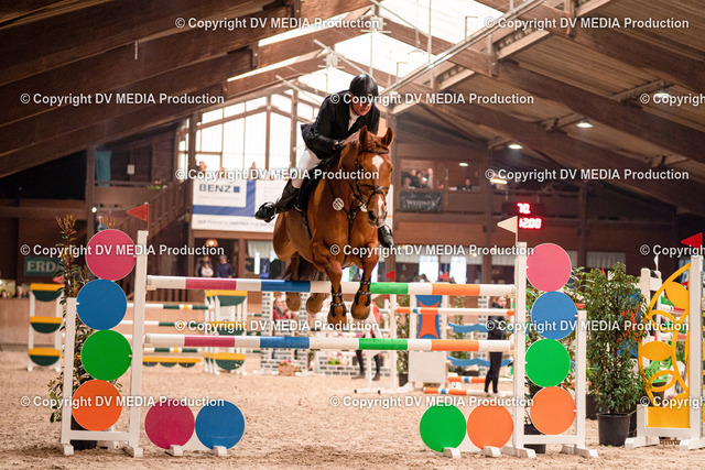 Springen Tag 3-480 | dv-media-shop - Realized with Pictrs.com