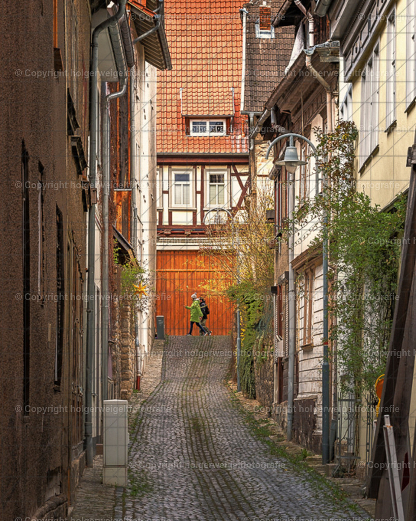 20250331141115D75_8943 | Kaufen sie online außergewöhnliche Fotografien auf Leinwand Acrylglas Fotoprint Aludibond von holgerweigeltfotografie - Realized with Pictrs.com