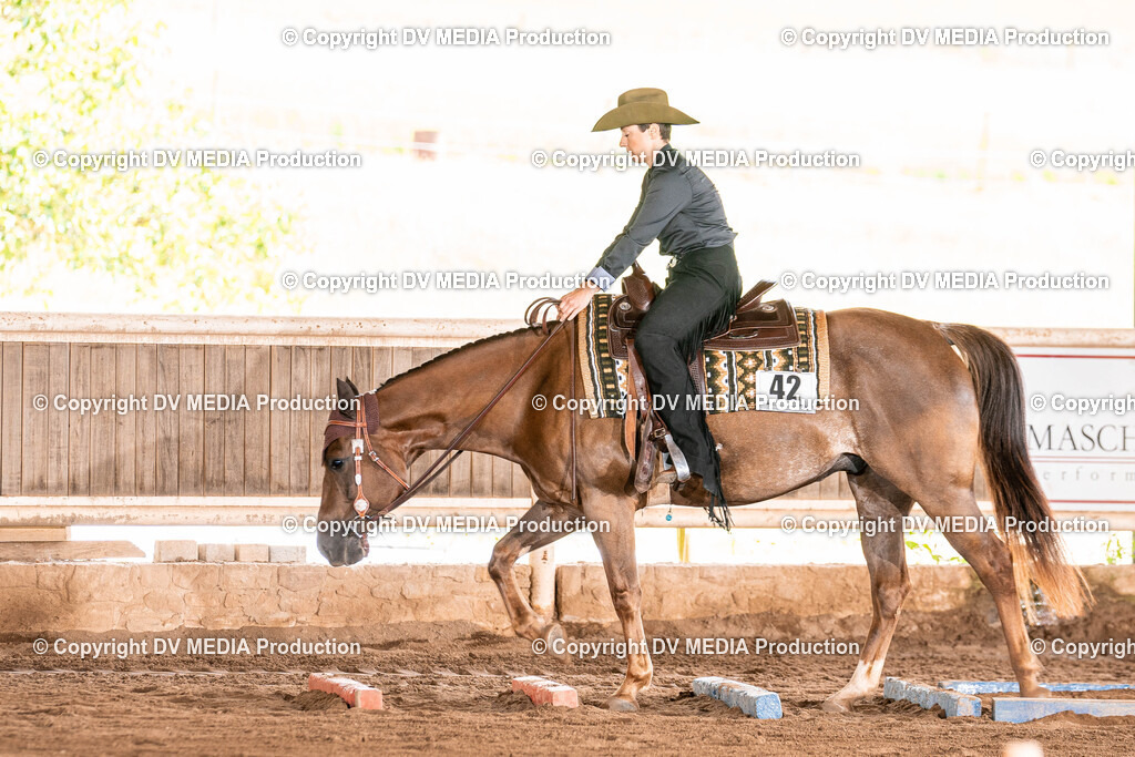 Erbach Tag 2-393 | dv-media-shop - Realisiert mit Pictrs.com