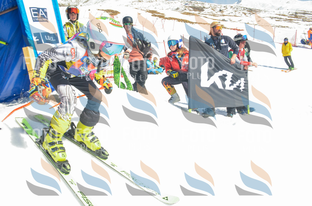 _ELE6092 | holidayphoto