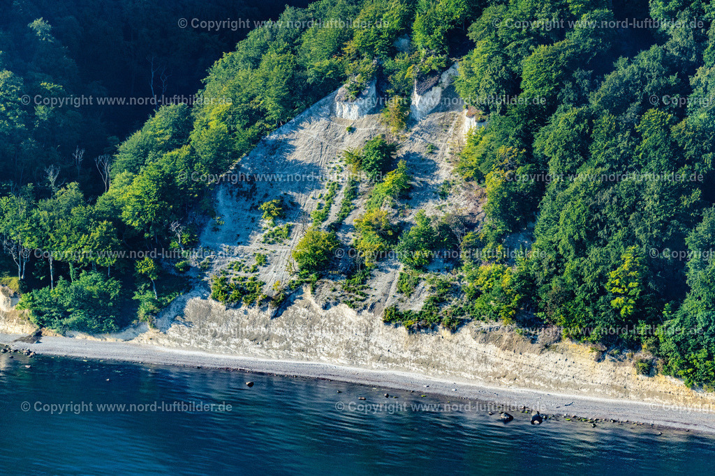 Lohme_Königsstuhl_Kreidefelsen_Rügen_ELS_4451100822 | STUBBENKAMMER 10.08.2022 Bewaldete Kreidefelsen - und Steilküsten- Landschaft im Nationalpark Jasmund an der Steilküste an der Ostsee in Stubbenkammer auf der Insel Rügen im Bundesland Mecklenburg-Vorpommern, Deutschland. // Wooded chalk cliffs and cliff landscape in the Jasmund National Park on the cliffs on the Baltic Sea in Stubbenkammer on the island of Ruegen in the state Mecklenburg-West Pomerania, Germany. Foto: Martin Elsen