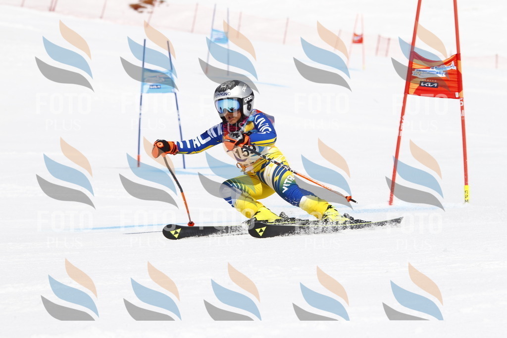 _U3G4304 | holidayphoto