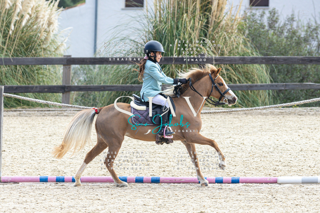 IMG_4797 | s-jay-photography - Realisiert mit Pictrs.com