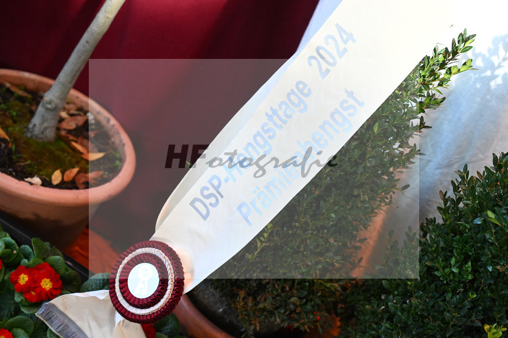 Impressionen Auktion_2243677 | hf-fotografie - Realisiert mit Pictrs.com