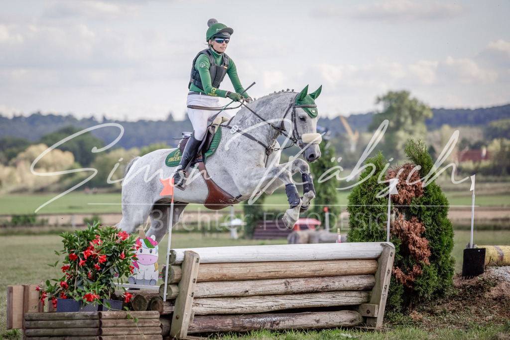 20250906-_3LI6955 | Tierfotografie Pferde, Hunde, Katzen, Haustiere.
Turnierfotografie Reitturniere, Reiten, Springreiten, Dressur in Hanau, dem Main-Kinzig-Kreis und dem Rhein-Main- Gebiet um Frankfurt
