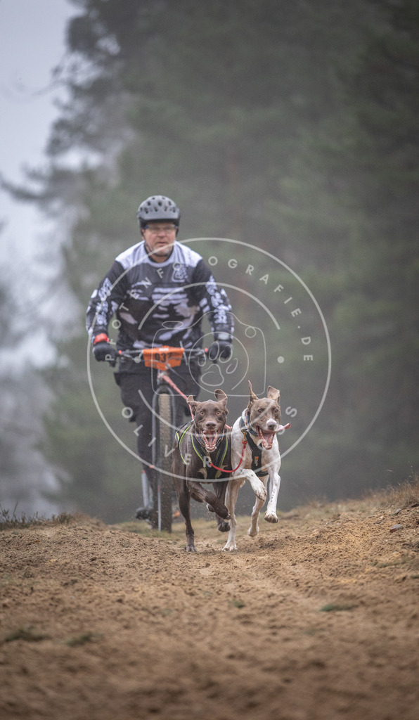 Pfotenfotografie_DV3A0838 | Hundefotografie, Tierfotograf, Pfotenfotografie, Fotoshooting Hund, Hunde Portrait, Hundesport, Hundeportraits, Heideshooting, Hunde, Sportfotograf, Hundefotograf, Turnierhundsport, THS,  - Realisiert mit Pictrs.com