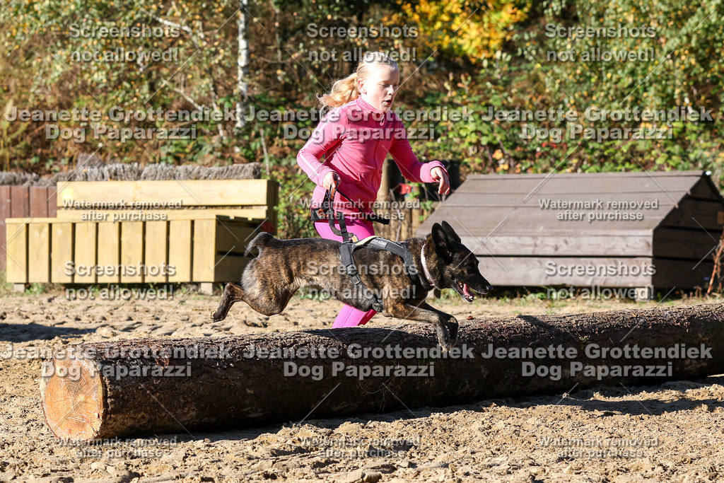 Dog Paparazzi - Strongdog 10-25-2114 | Dog Paparazzi Jeanette Grottendiek Fotografie & Videografie - Realisiert mit Pictrs.com