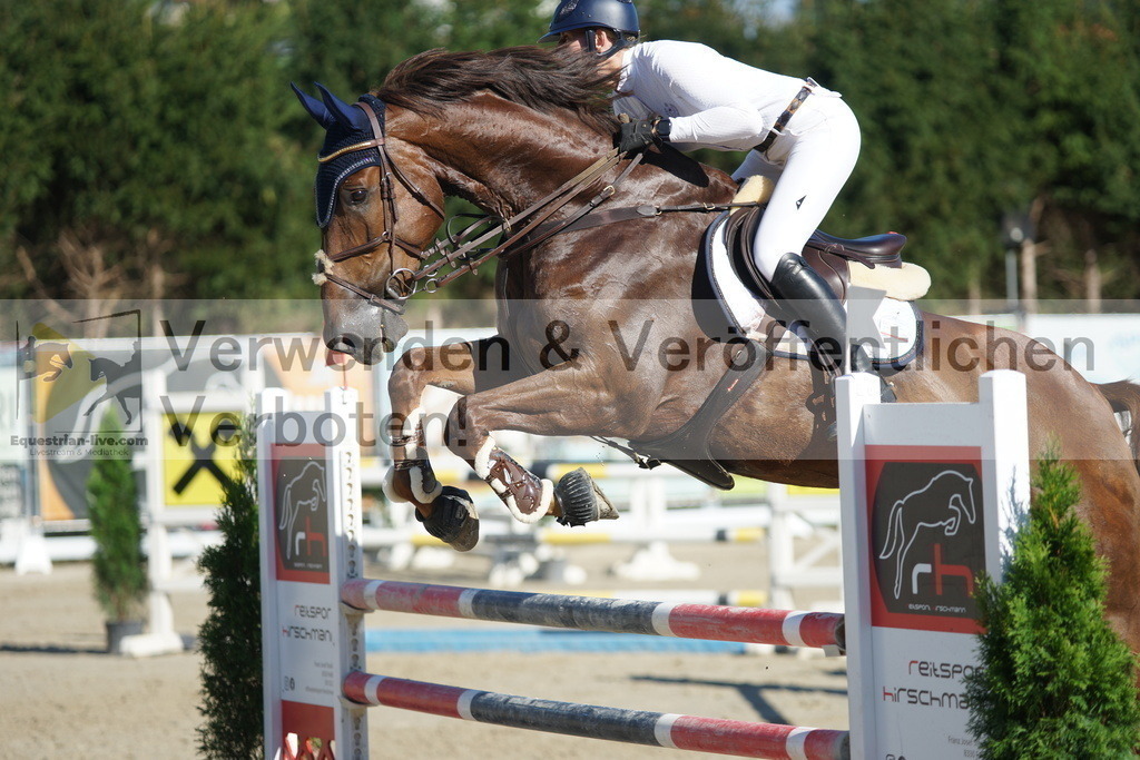 DSC01221 | equestrian-live-com