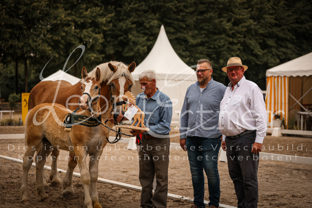 SaHF00148 | Leoni Ertmer Photography - Realisiert mit Pictrs.com