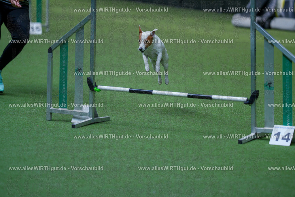 @allesWIRTHgut_Tierfotografie - www.allesWIRTHgut.de - 2604261447-7R503712 | Professionelle Tierfotografie in Mönchengladbach von Daniel Wirth (allesWIRTHgut). Liebevolle & natürliche Bilder von Hunden & Katzen für unvergessliche Erinnerungen.