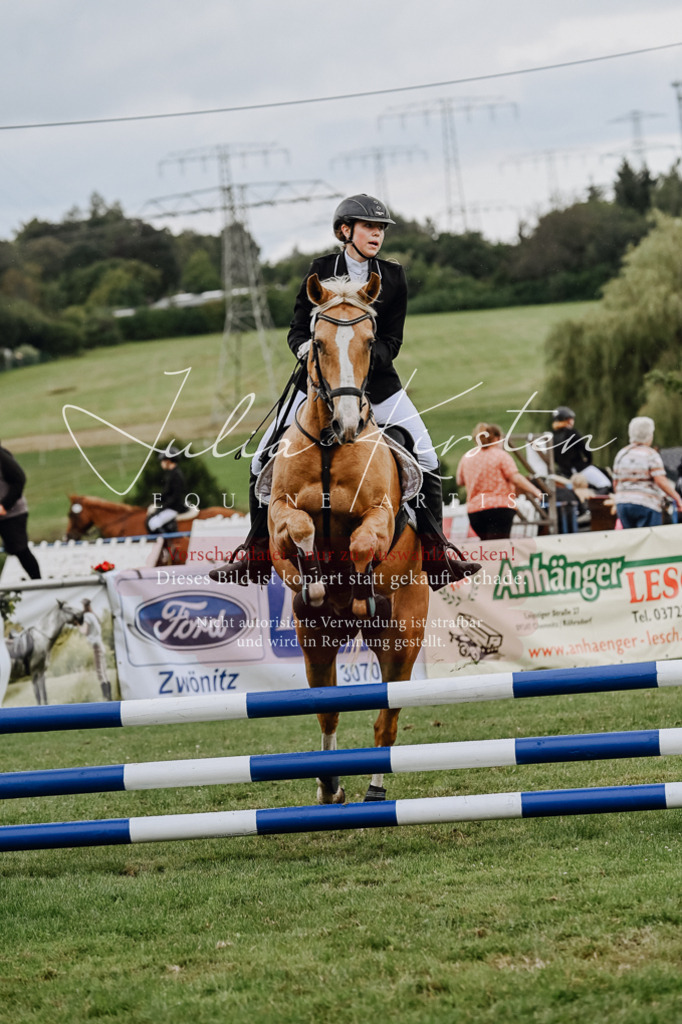 DSC_6887 | Pferde- und Turnierfotografie in Westsachsen. Pferdeportraits, Auftragszeichnungen und intuitive Kunst.