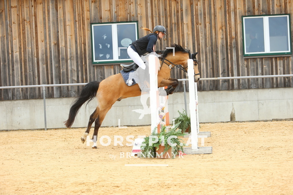 DL2Q1825 | Willkommen bei Brunnmayr - Design & Fotografie – Ihrem Spezialisten für Reitturniere und Pferdeveranstaltungen in Oberösterreich, Salzburg und Bayern! Seit über 17 Jahren sind wir leidenschaftlich dabei.