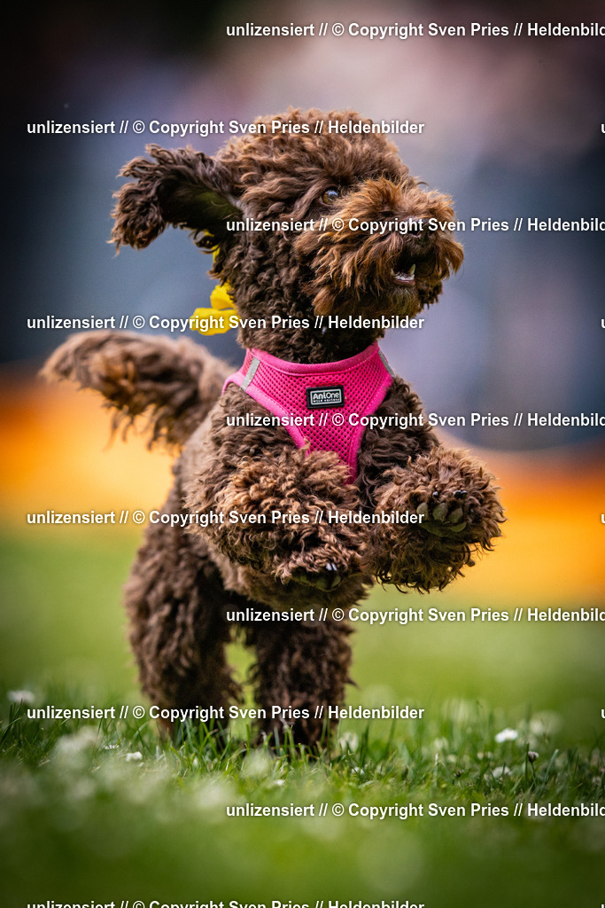 Sven Pries | 2025-05-29 - Pudelrennen KA-Durlach - Realisiert mit Pictrs.com