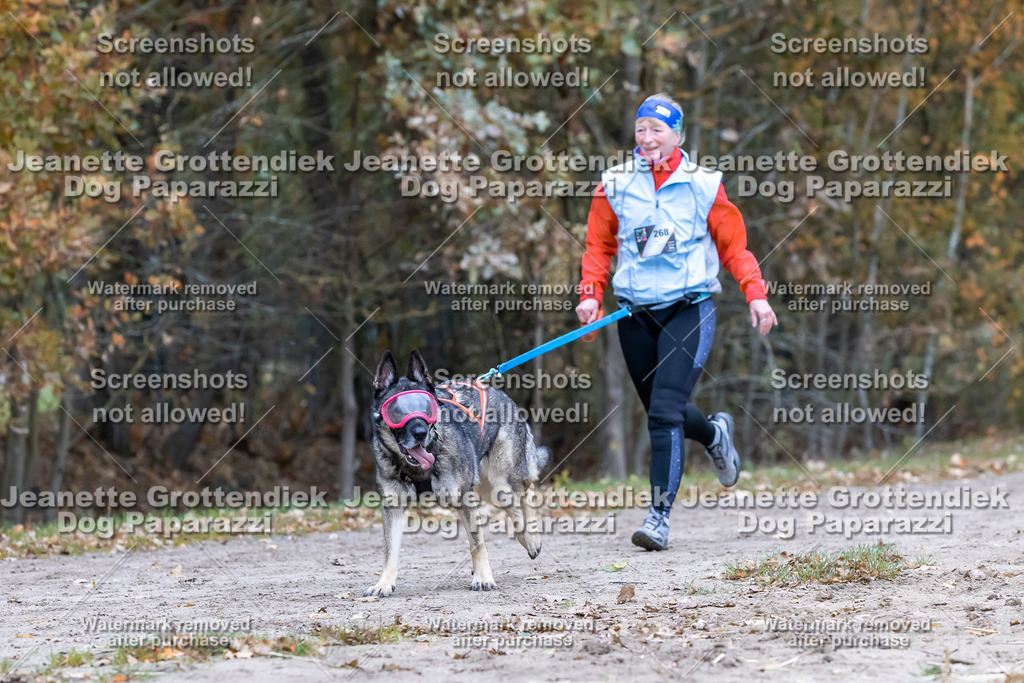 Dog Paparazzi - SD CaniX Championship 2025-660 | Dog Paparazzi Jeanette Grottendiek Fotografie & Videografie - Realisiert mit Pictrs.com