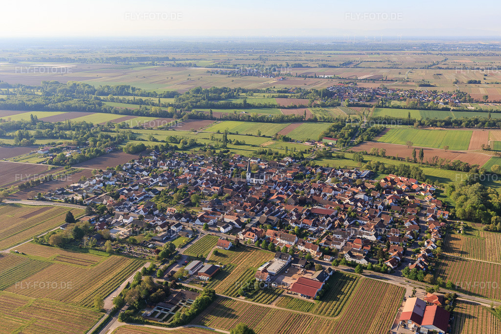 Luftbild: Ortsansicht aus Norden in Venningen im Bundesland Rheinland-Pfalz in Deutschland. Foto: IMG_120623.jpg vom 26.04.2020 durch Werner Riehm/FLY-FOTO.de