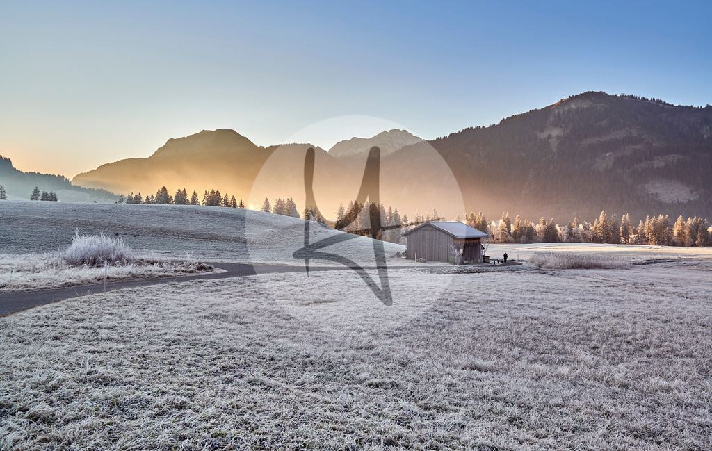 Mystische Morgensonne mit Nebel und Frost im Tannheimer Tal, Tirol, Österreich | Meurer Shop - Realisiert mit Pictrs.com