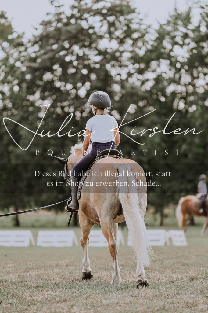 DSC_7708 | Pferde- und Turnierfotografie in Westsachsen. Pferdeportraits, Auftragszeichnungen und intuitive Kunst.