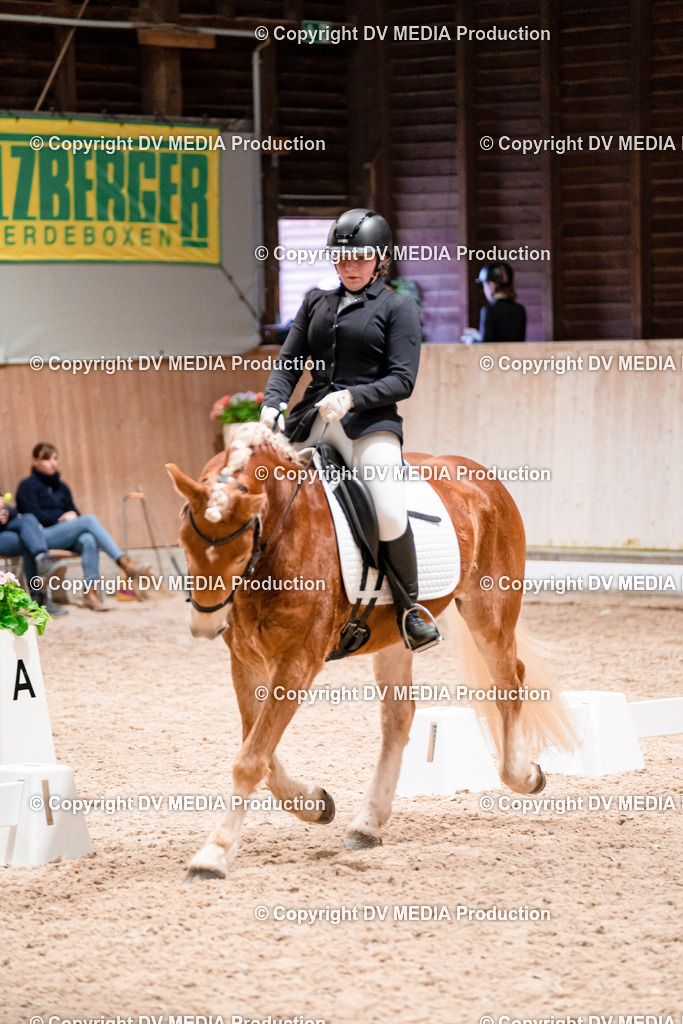 Dressur Tag 2-372 | dv-media-shop - Realisiert mit Pictrs.com