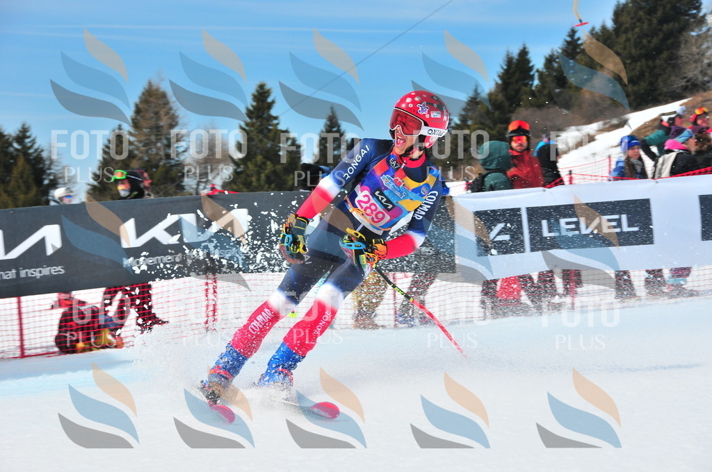 DSC_6446 | holidayphoto