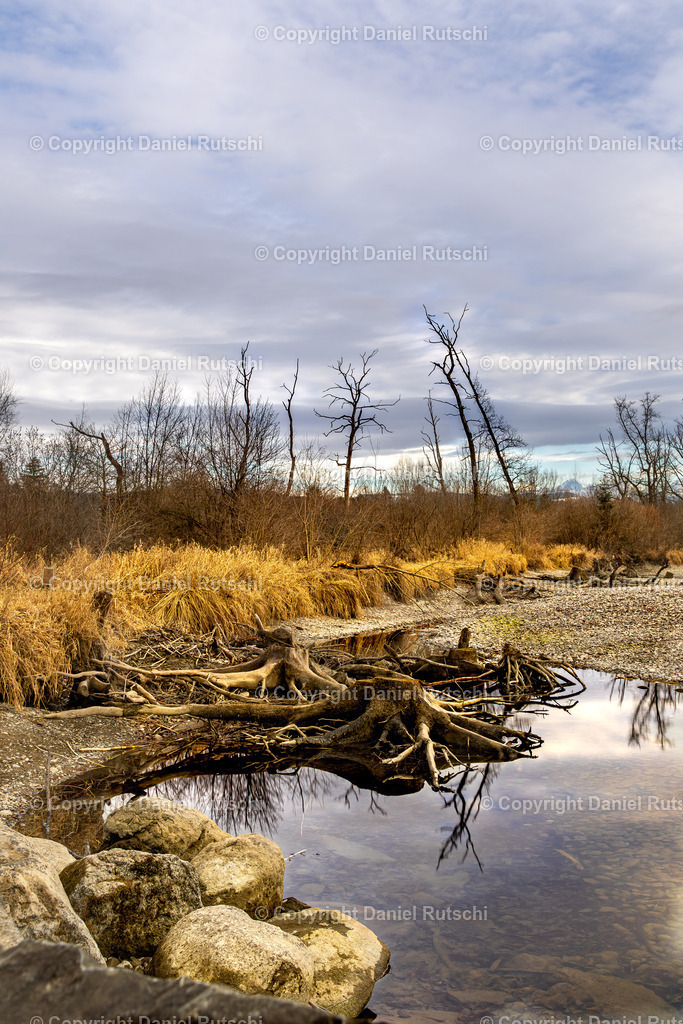 _DSC0110-Verbessert-RR | rutschi_photography - Realisiert mit Pictrs.com